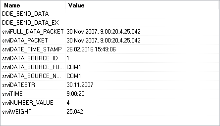 Scales data logger. DDE server window